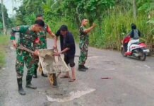 Cegah Kecelakaan, Koramil 402-03/SP Padang dan Warga Tambal Jalan Berlubang
