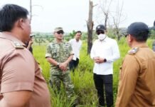 Wabup Tubaba Tinjau Lokasi Rencana Pembangunan Batalyon TNI AD di Pagar Dewa
