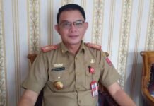 Kadis Kominfo Lambar Luruskan Isu Larangan Kendaraan Plat Luar Daerah Parkir di Lingkungan Pemda