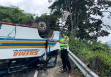 Bus Angkut 28 Penumpang Terguling di Tepian Danau Ranau, Tiga Luka Berat
