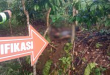 Polres OKU Selatan Pastikan Proses Hukum Kasus Amuk Massa Berjalan Transparan