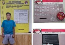 Tertangkap Tangan Serahkan Sabu ke Polisi Menyamar, Pengedar Ini Langsung Dibekuk
