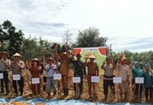 Desa Benakat Minyak Gelar Panen Jagung Perdana