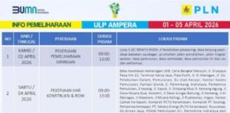 PLN Lakukan Pemeliharaan Jaringan 2–4 April, Sejumlah Wilayah di Palembang dan Ogan Ilir Terdampak