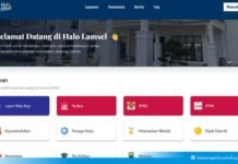 Cukup Kirim ‘Hallo’, Warga Lampung Selatan Bisa Adukan Keluhan, Bupati Egi: Harus User-Friendly