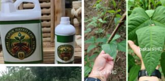 PHC Buktikan Hasil, Saatnya Petani Lampung Beralih ke Pupuk Hayati Cair