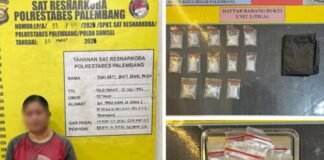 Berantas Narkotika, Satresnarkoba Polrestabes Palembang Amankan IRT