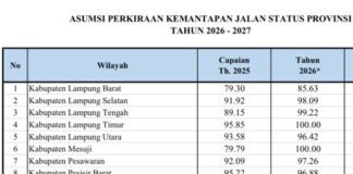 Jalan Kabupaten Digeber! Kemantapan Jalan Provinsi Lampung Tembus 85,46 Persen di 2026