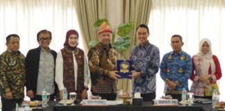 Bupati OKI Suarakan Kesejahteraan Guru PPPK Paruh Waktu ke Komisi X DPR RI