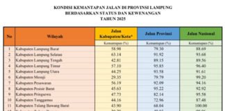 Pemprov Lampung Ngebut Perbaiki Jalan, Ketimpangan Justru Terjadi di Kabupaten/Kota