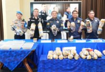 Polda Sumsel Bongkar Sindikat Ladang Ganja 20 Hektar di Empat Lawang