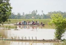 Jembatan Perintis Garuda Jadi Harapan Baru, Buka Akses Ekonomi dan Pendidikan di Lampung Timur