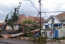 Pohon Tumbang Timpa Pagar Kantor Kelurahan Sidakersa