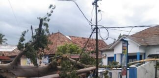 Pohon Tumbang Timpa Pagar Kantor Kelurahan Sidakersa