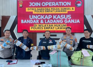 Operasi Gabungan Polda Sumsel Bongkar Ladang Ganja 20 Hektar di Empat Lawang