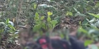 Anak 12 Tahun Tewas Misterius di Kebun, Ini Kata Polisi