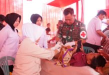 Melalui TMMD ke-128, Kodim 0402/OKI Hadirkan Pelayanan Kesehatan dan Dorong Kebangkitan UMKM Desa