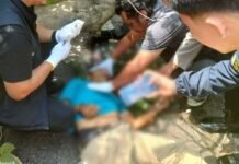 Pengemudi Ojol Tewas Tertimpa Pohon Tumbang di Depan Samsat Palembang