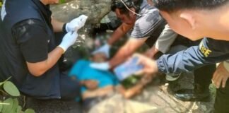 Pengemudi Ojol Tewas Tertimpa Pohon Tumbang di Depan Samsat Palembang