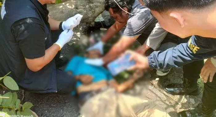 Pengemudi Ojol Tewas Tertimpa Pohon Tumbang di Depan Samsat Palembang