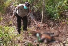 Tragis, Wanita Lansia di Muara Enim Tewas Dibunuh Anak dan Cucu Kandung