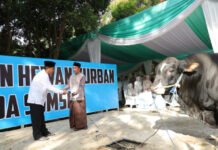 Wujud Syukur Idul Adha, Polda Sumsel Salurkan Ratusan Hewan Kurban Hingga Pelosok Daerah
