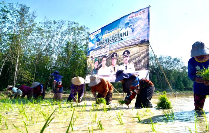 OKI Jadi Lokus Utama Percepatan Tanam Padi Sumsel, Target 111 Ribu Hektare