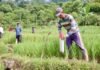 Pasang Patok, Cara Sederhana Mencegah Sengketa Tanah dengan Tetangga