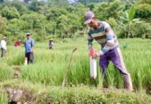Pasang Patok, Cara Sederhana Mencegah Sengketa Tanah dengan Tetangga