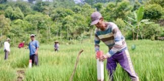 Pasang Patok, Cara Sederhana Mencegah Sengketa Tanah dengan Tetangga