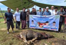 43 Hewan Kurban Dibagikan H. Iskandar ke Warga Sumsel