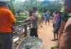 Polres OKI dan Brimob Polda Sumsel Gotong Royong Perbaiki Jembatan Merah Putih di Desa Jermun
