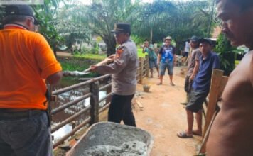 Polres OKI dan Brimob Polda Sumsel Gotong Royong Perbaiki Jembatan Merah Putih di Desa Jermun