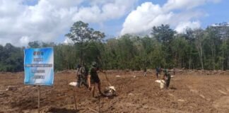 Satgas TMMD Kodim 0402/OKI Tanam Jagung 1,5 Hektar untuk Perkuat Ketahanan Pangan Desa