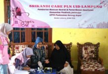 Peduli Lansia, Srikandi PLN UID Lampung Salurkan Bantuan Nutrisi dan Pemeriksaan Kesehatan Gratis