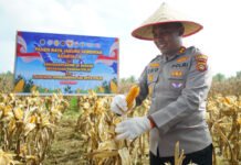 Polres OKI Kirim 15 Ton Hasil Panen Raya Jagung ke Bulog Palembang