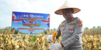 Polres OKI Kirim 15 Ton Hasil Panen Raya Jagung ke Bulog Palembang