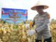 Polres OKI Kirim 15 Ton Hasil Panen Raya Jagung ke Bulog Palembang
