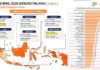 Stabilitas Harga Terjaga, Lampung Jadi Provinsi dengan Inflasi Terendah Nasional