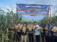 Dukung Swasembada Pangan, Polres Muratara Gelar Panen Raya Jagung Serentak Kuartal II 2026