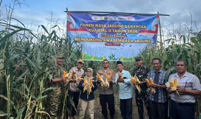 Dukung Swasembada Pangan, Polres Muratara Gelar Panen Raya Jagung Serentak Kuartal II 2026