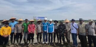 Akselerasi Ketahanan Pangan Daerah, PLN Hadirkan Listrik Andal untuk Pertanian Modern