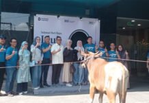 BSI Region III Palembang Distribusikan 103 Hewan Kurban