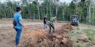 TMMD Ke-128 Kodim 0402/OKI Ubah 1,5 Hektar Lahan Jadi Kebun Jagung Produktif