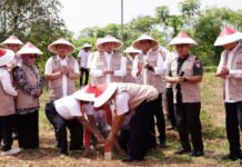 Mengenal Asas Kontradiktur Delimitasi, Kunci Kepastian Batas Tanah