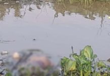 Mayat Mr X Ditemukan Mengapung di Sungai Musi
