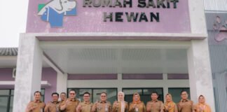 Pembangunan Lanjutan RS Hewan Lampung Bergulir Dua Pekan Lagi