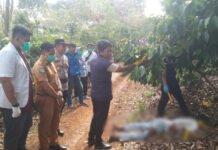 Polisi Ungkap Kasus Pembunuhan di OKU Selatan, Pelaku Ditangkap Setelah Buron Hampir 2 Tahun
