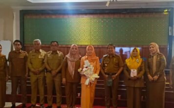 Resmi Purna Tugas, HM Lubis Titip Harapan Besar Bagi Dinas Kesehatan OKI