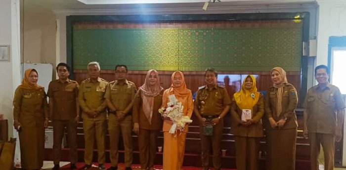 Resmi Purna Tugas, HM Lubis Titip Harapan Besar Bagi Dinas Kesehatan OKI